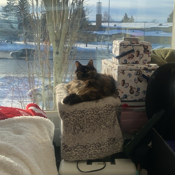 Meet your Posher, Taylee - Picture 3 of 4